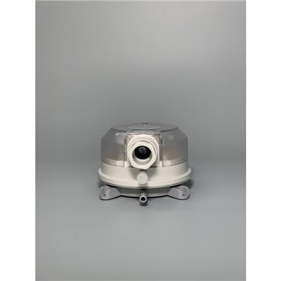 SERIES ADPS_DWYER_DLK_2